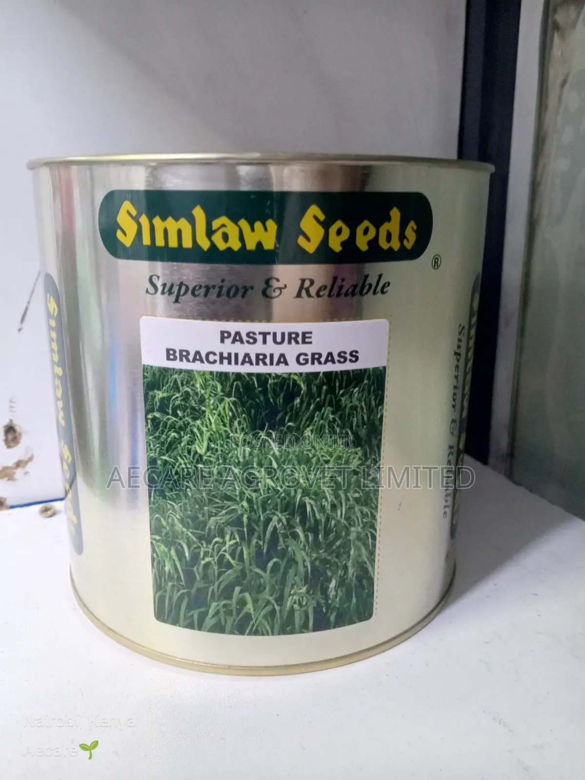 Bracharia Pasture Grass 250g, 500g, 1kg