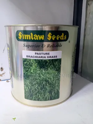 Bracharia Pasture Grass 250g, 500g, 1kg