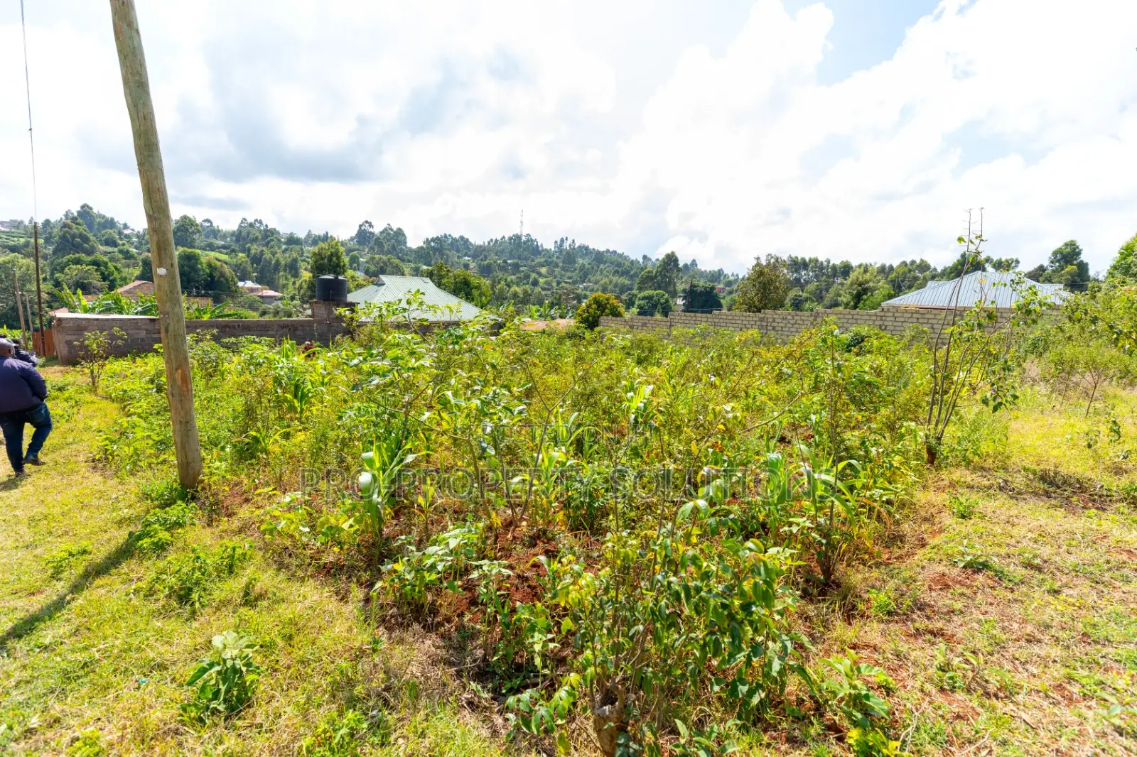 Prime Residential Plot for Sale in Kikuyu, Gikambura (Kamuita)