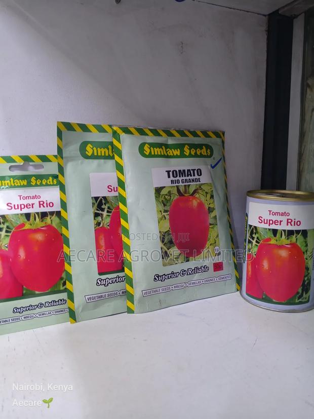 Rio Grande Tomato Seeds 10g, 25g, 50g, 100g