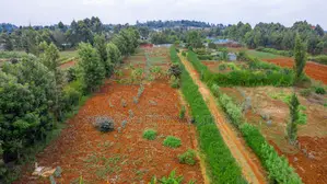 Prime Residential Plot For Sale In Kikuyu, Migumoini