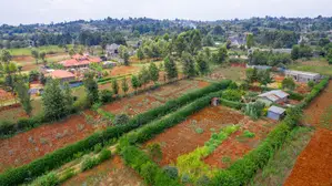 Prime Residential Plot For Sale In Kikuyu, Migumoini
