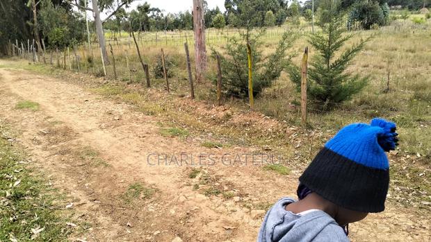 50*100 Plots - thumbnail 2