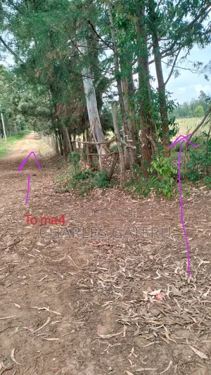 50*100 Plots