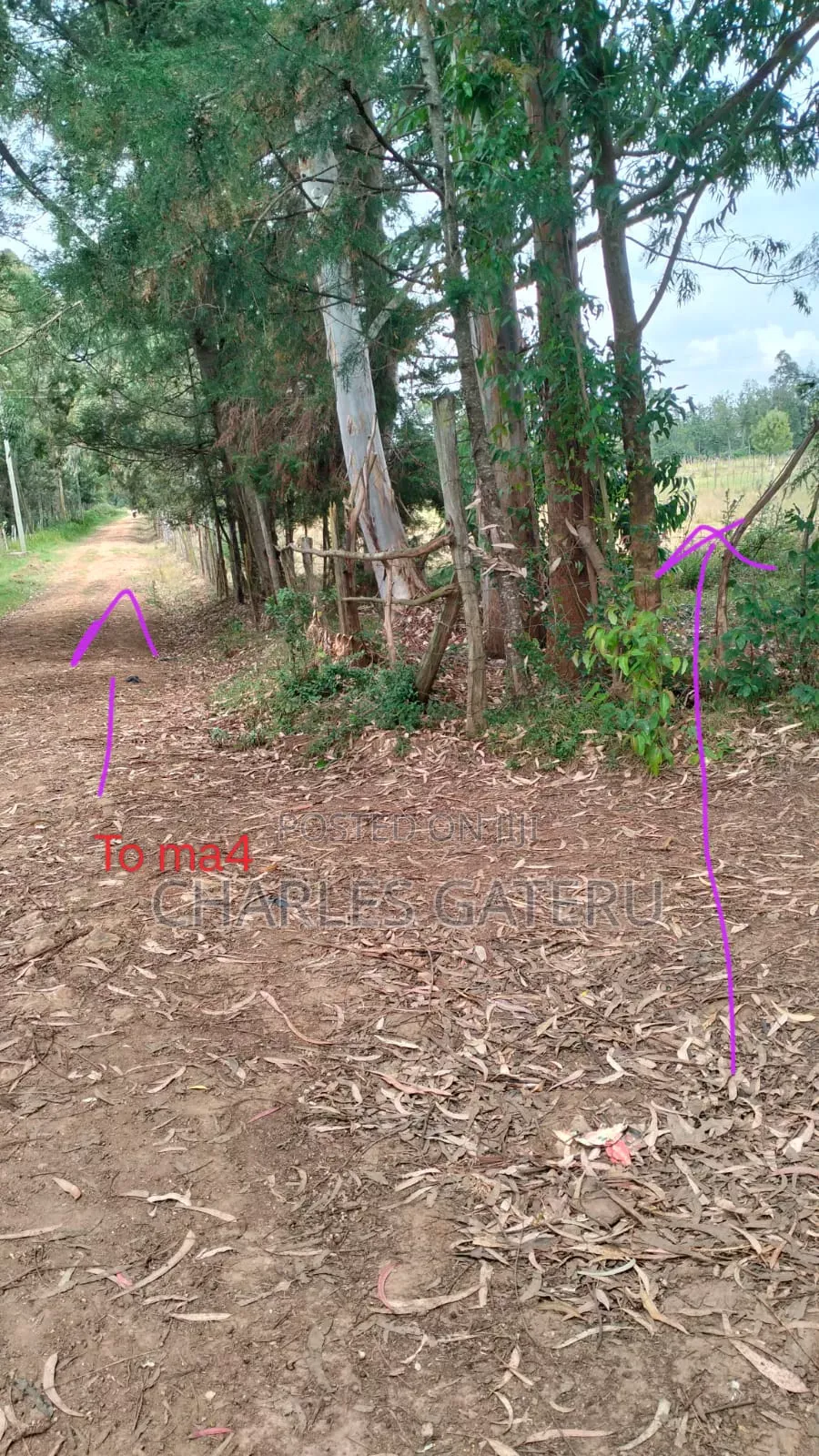 50*100 Plots
