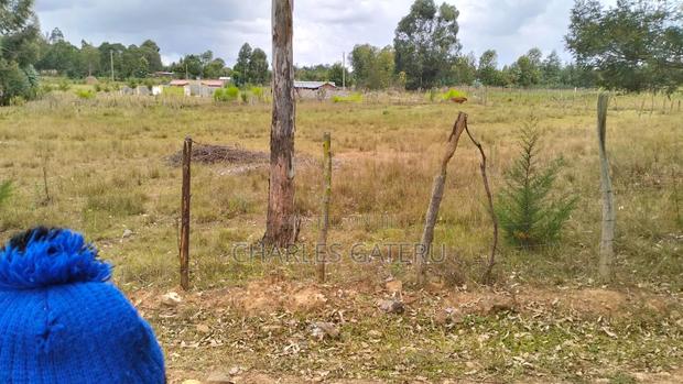 50*100 Plots - thumbnail 4