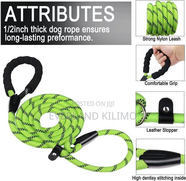 Comfortable Padded Handle Slip Rope Leash - main view