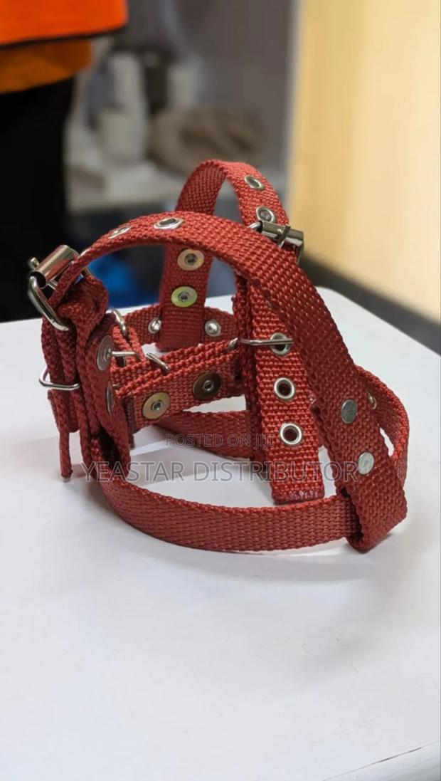 Climbers Straps