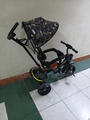 Tricycle With Canopy - thumbnail 2