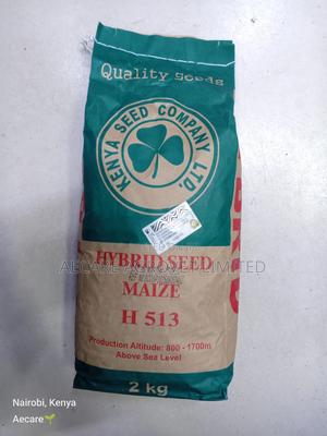Hybrid Maize Seed H513 2kgs - thumbnail 2