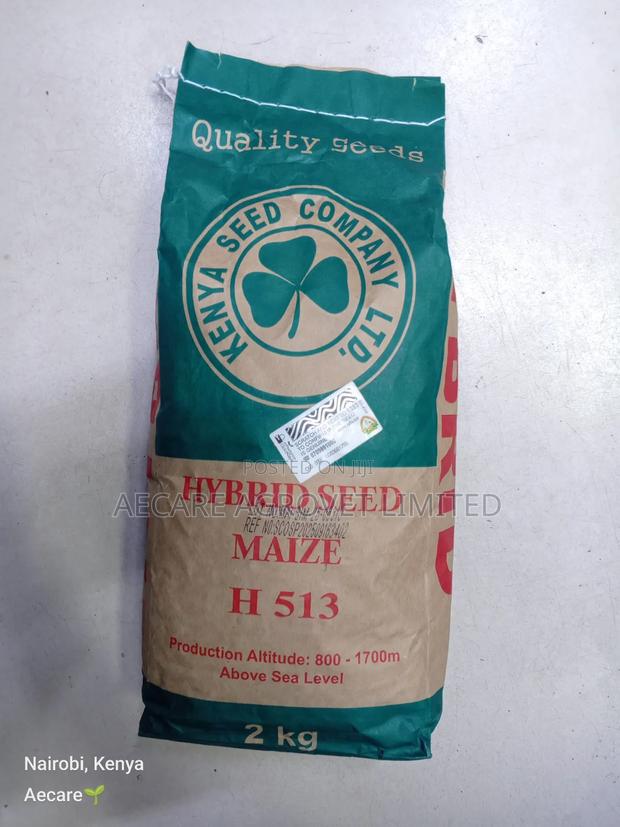 Hybrid Maize Seed H513 2kgs - main view