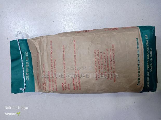 Hybrid Maize Seed H513 2kgs - thumbnail 5