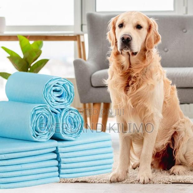Training Pee Pads For Pets - main view