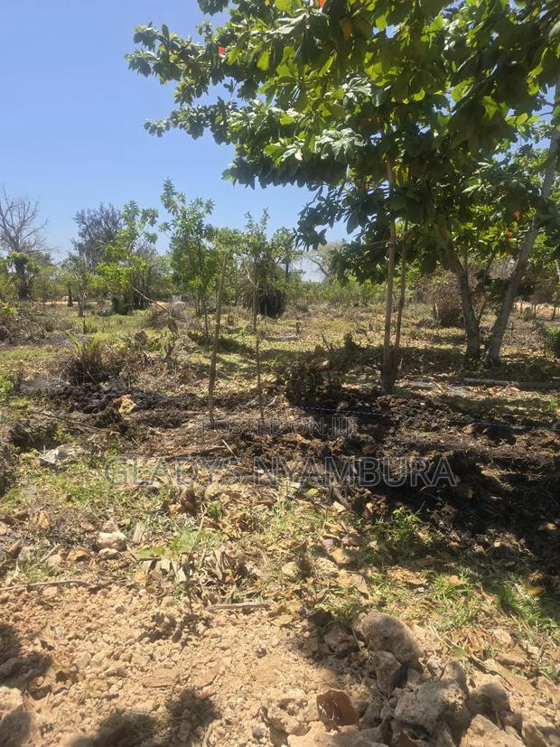 1/8 Acre Plots For Sale In Diani, 700m From The Beach - thumbnail 11