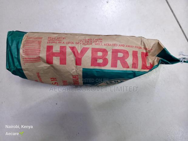 Hybrid Maize Seed H513 2kgs - thumbnail 7