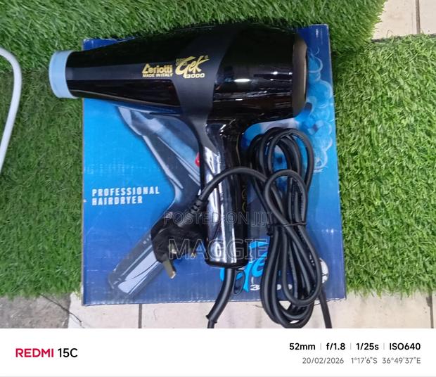 Ceriotti Professional Hairdryer - main view