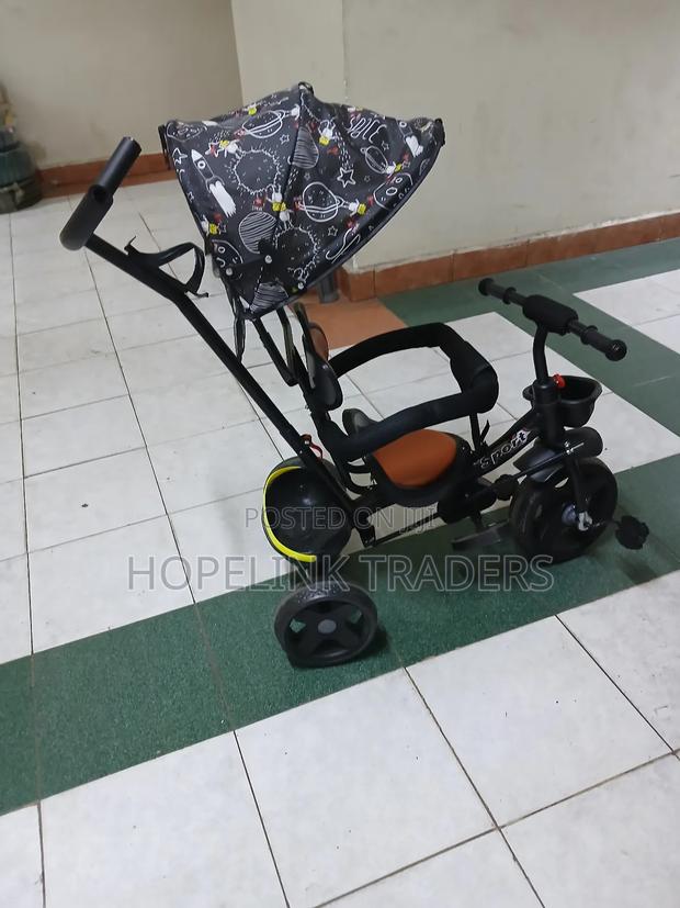 Kids Tricycle With Canopy And Push Handle - main view