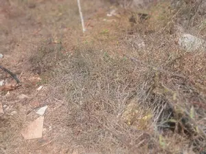 Plot for Sale-Nyali