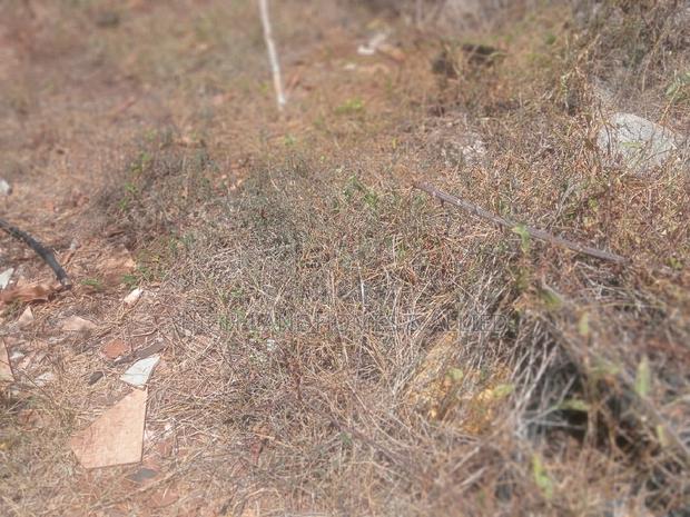 Plot for Sale-Nyali - main view