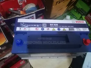 Bosch Din 110 (12v/110ah) Automotive Battery Maintenance