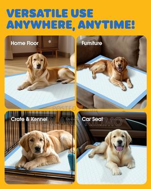 Medium Training Pads For Pets - thumbnail 2