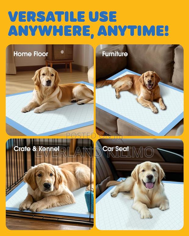 Medium Training Pads For Pets - main view