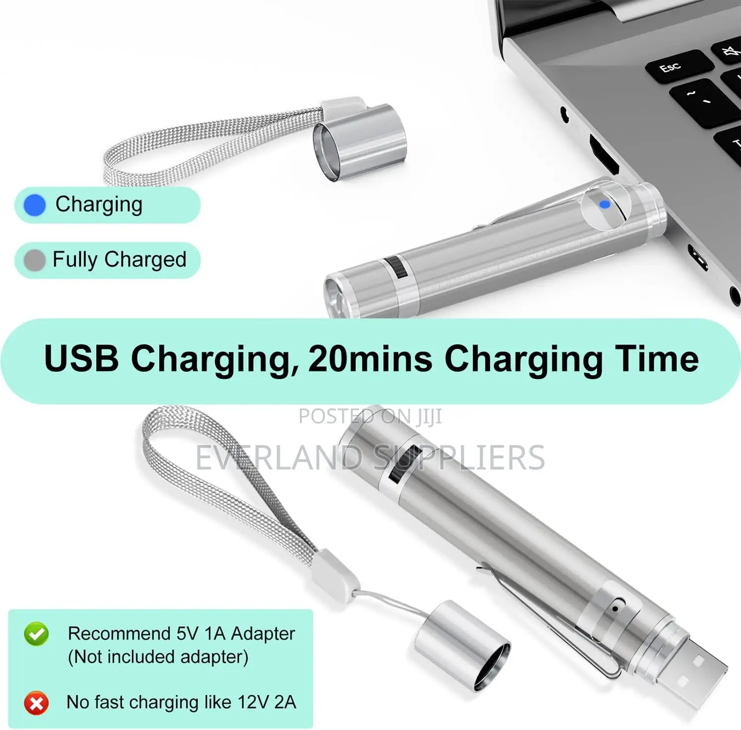 Usb Chargeable Light Mode Laser Toy For Cats