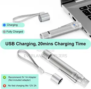 Usb Chargeable Light Mode Laser Toy For Cats