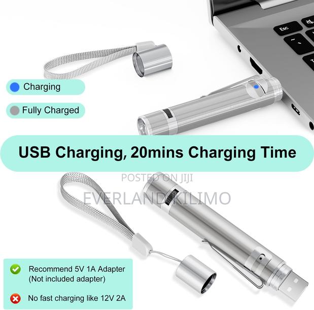 Usb Chargeable Light Mode Laser Toy For Cats - main view