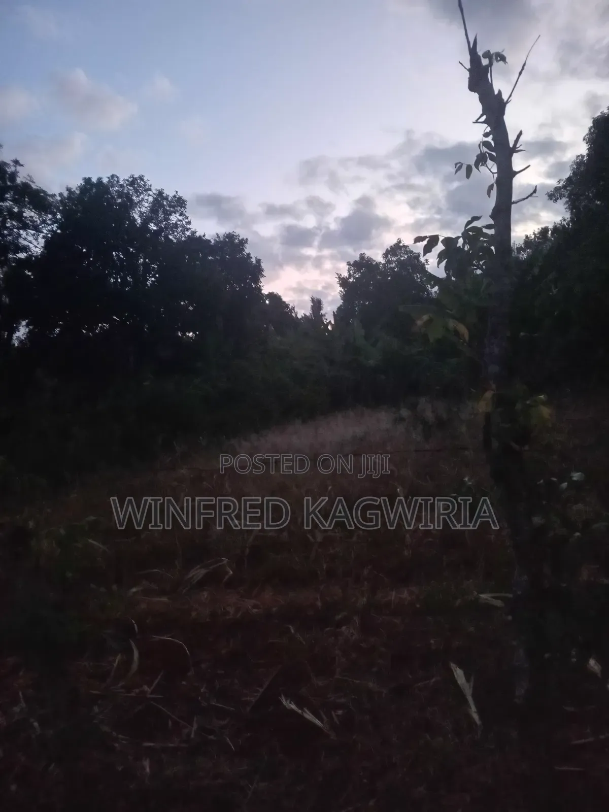 1/4 Acre Land Nyaki/Mulathankari