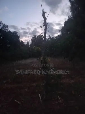 1/4 Acre Land Nyaki/Mulathankari