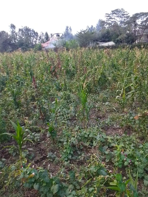 Plots for Sale - thumbnail 3