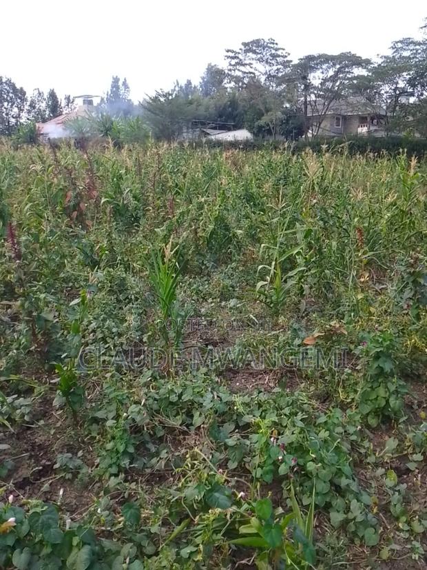 Plots for Sale - thumbnail 4