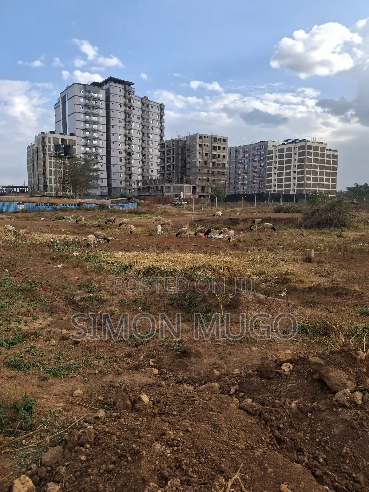 Northern Bypass River Island Estate Commercial 40x80 Ready Title