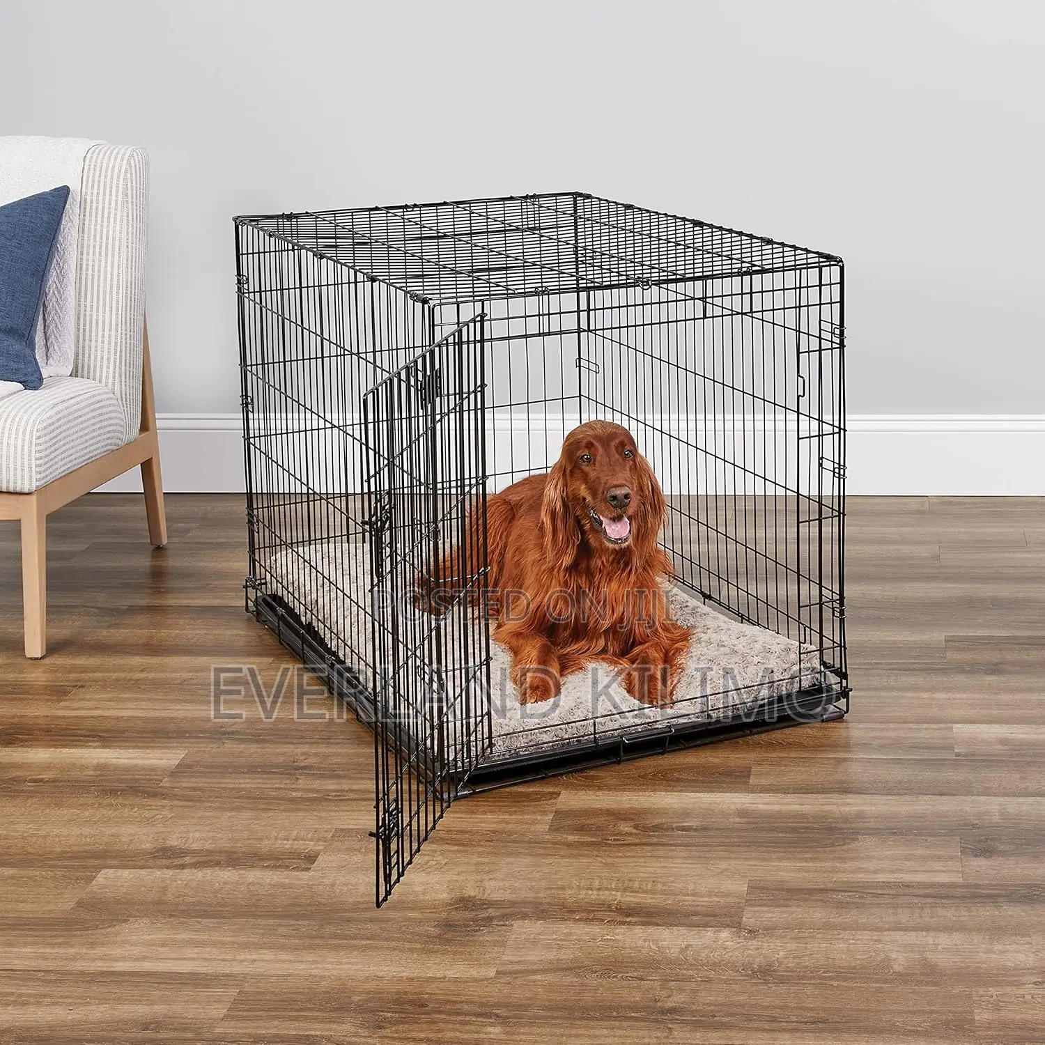Homes For Pets