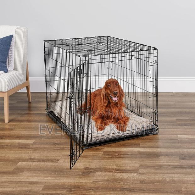 Homes For Pets - main view