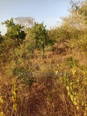 5 Acres at Wamunyu Yathui Machakos