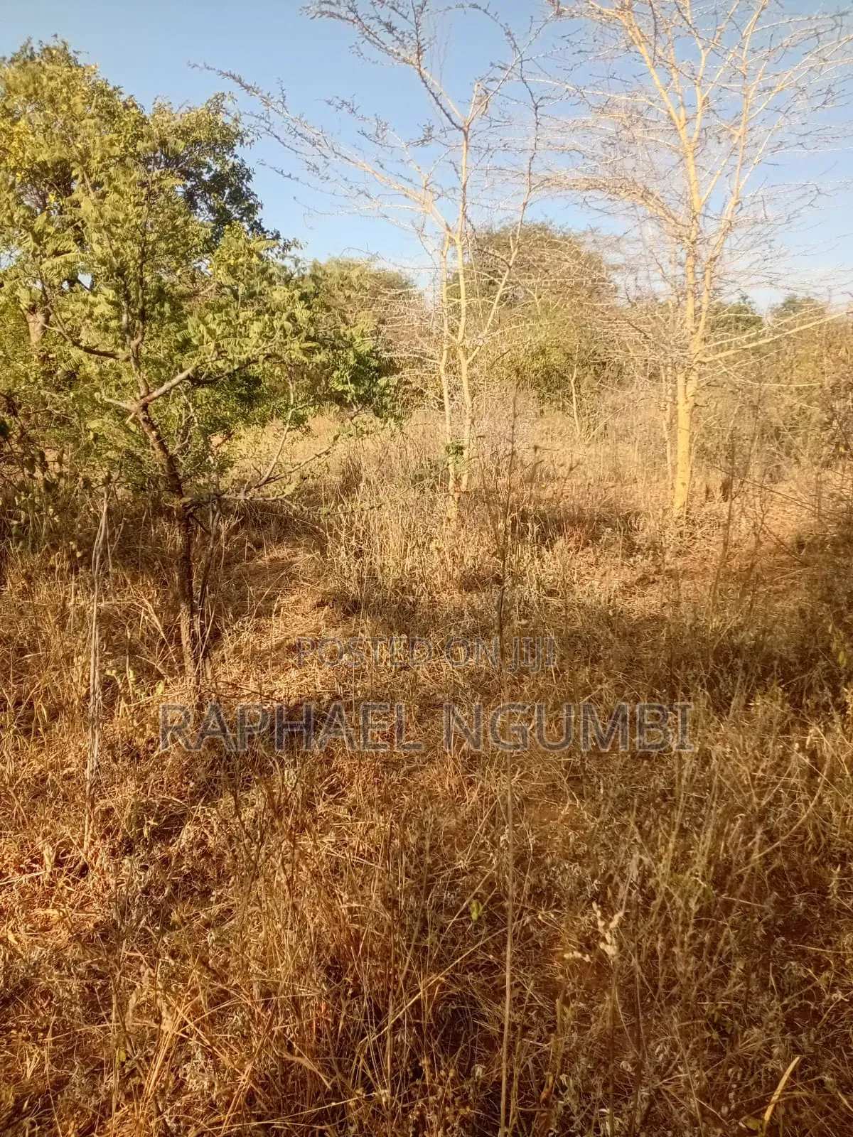 5 Acres at Wamunyu Yathui Machakos