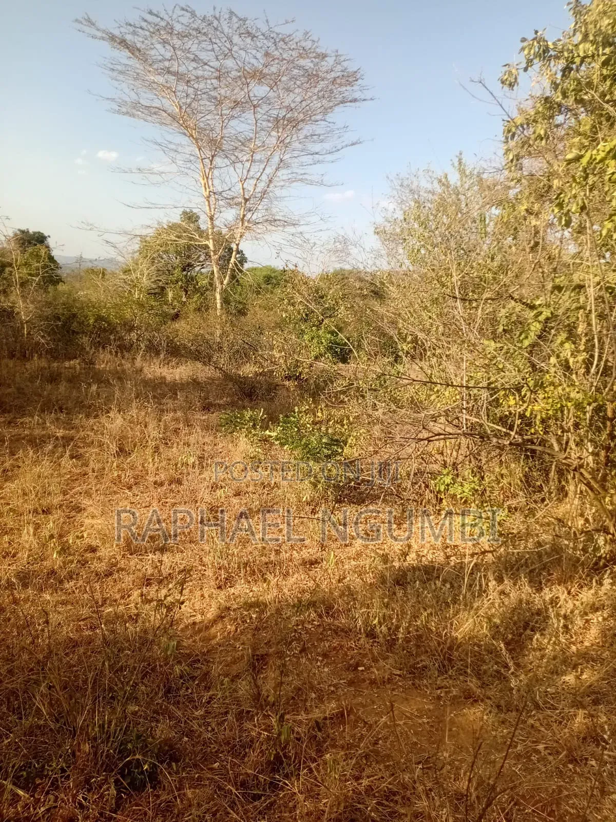 5 Acres at Wamunyu Yathui Machakos