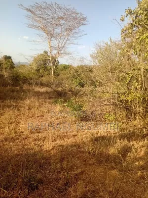 5 Acres at Wamunyu Yathui Machakos
