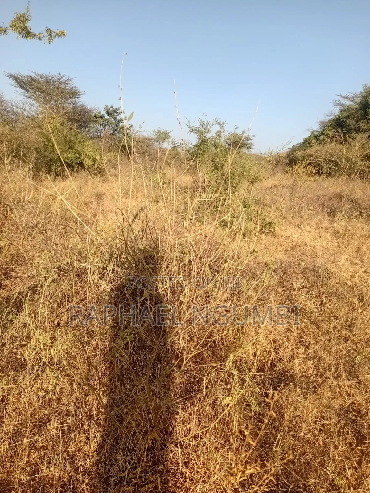 5 Acres at Wamunyu Yathui Machakos