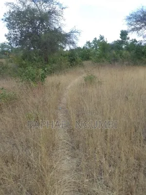 2.5 Acres at Machakos Masii