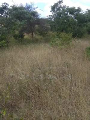 2.5 Acres at Machakos Masii