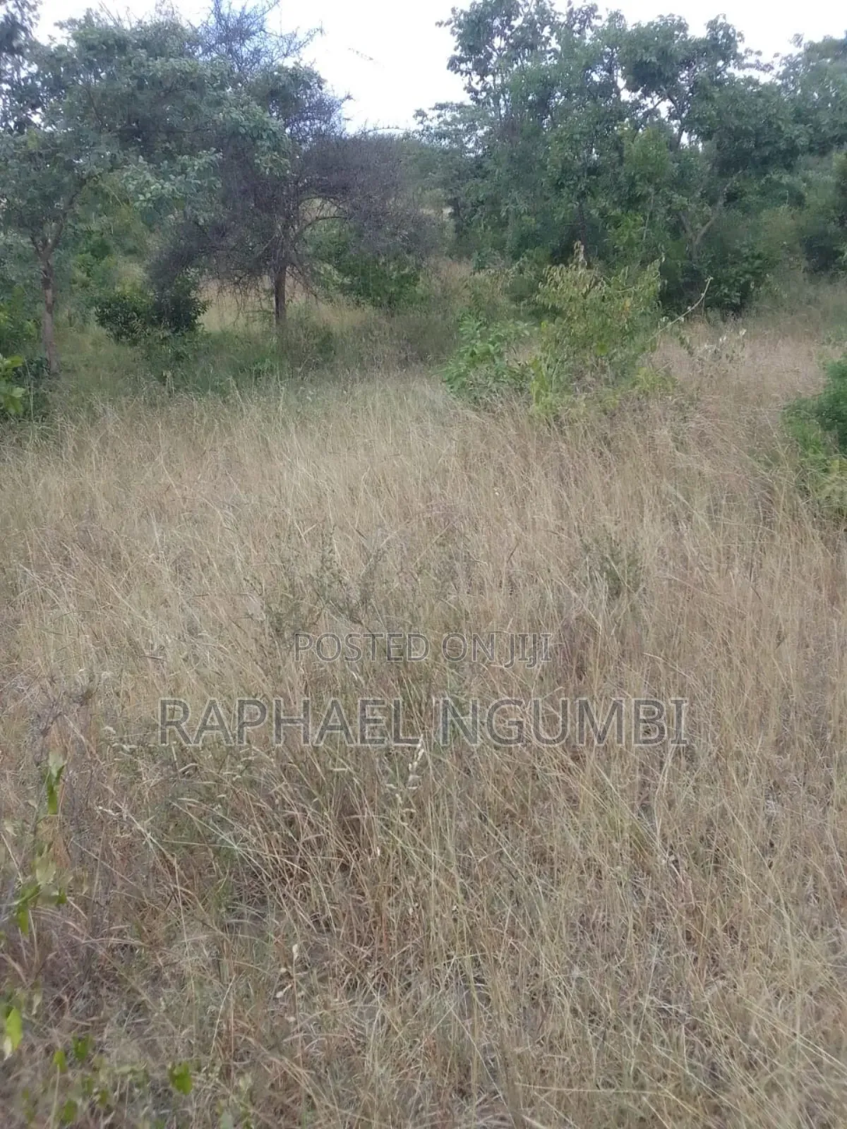 2.5 Acres at Machakos Masii