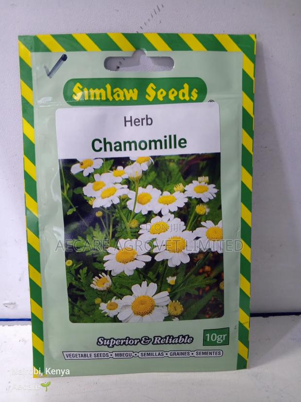 Chamomile Herb Seeds 10 Grams - main view
