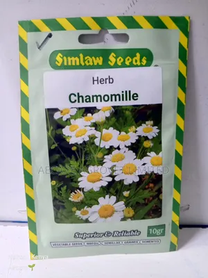 Chamomile Herb Seeds 10 Grams