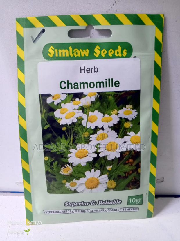 Chamomile Herb Seeds 10 Grams - thumbnail 5
