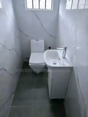 Plumbing Services