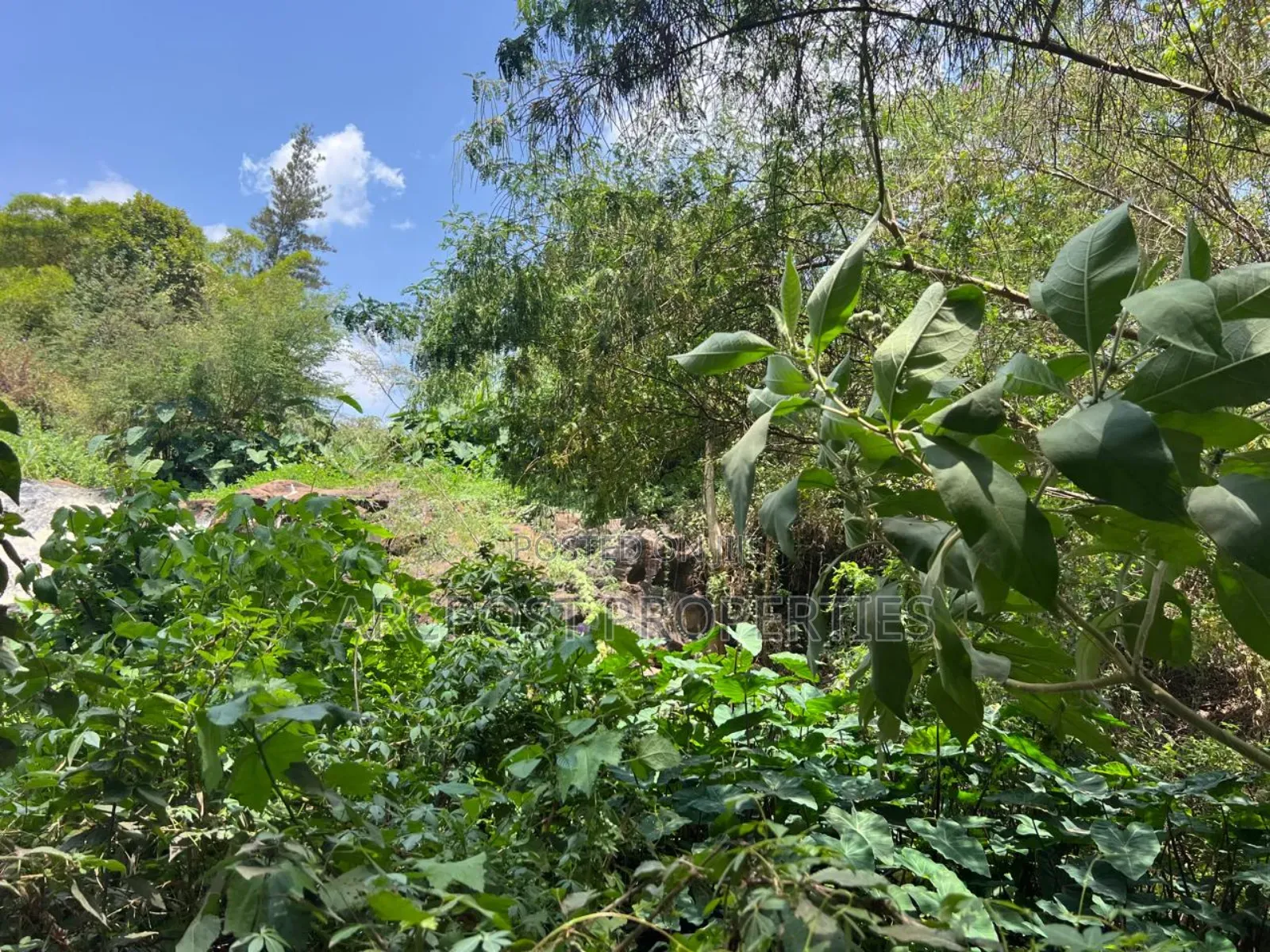 Prime 1.2 Acre Waterfront Land for Sale in Muthaiga North