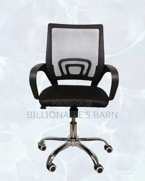 Black Compact Ergonomic Chair |Posture-Friendly Build for Productivity